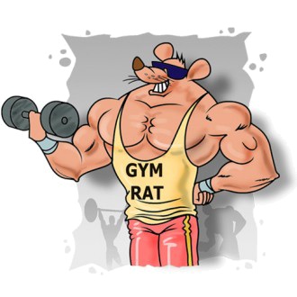 O Que é GYM RATS em Português