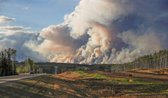 How do Wildfires Affect Wine?