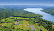 Villa Estate Vineyards