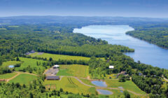 Villa Estate Vineyards