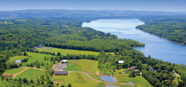Villa Estate Vineyards