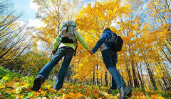 Fall Into Fitness: Finding Your Balance as the Seasons Shift
