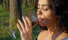 What makes wine dry?