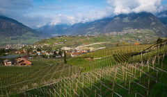 How to Choose Wine by Country or Region: