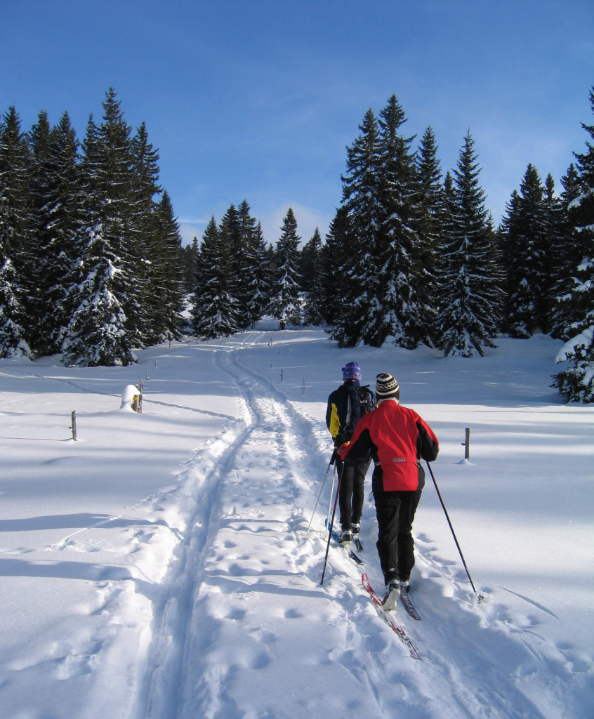 cross-country-skiing-in-mont-tendre-1358944-1599x1935
